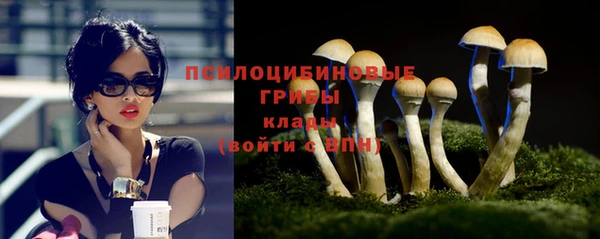 трава Баксан